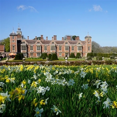 Blickling Hall Daffodils