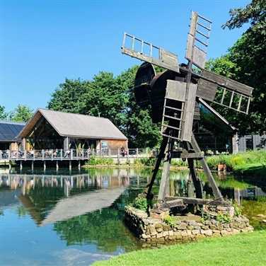 Weald & Downland Living Museum or Chichester